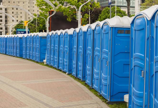 festive, colorfully decorated portable restrooms for a seasonal event in Amherst